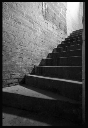 Set In Stone bw border sm.jpg